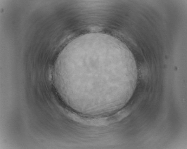 X0000071760032200607282159