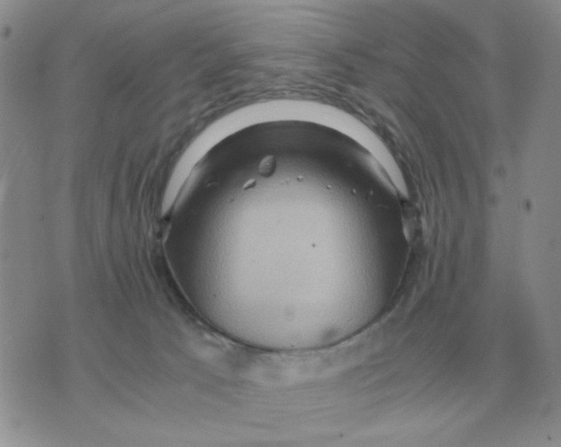 X0000071760033200607282159