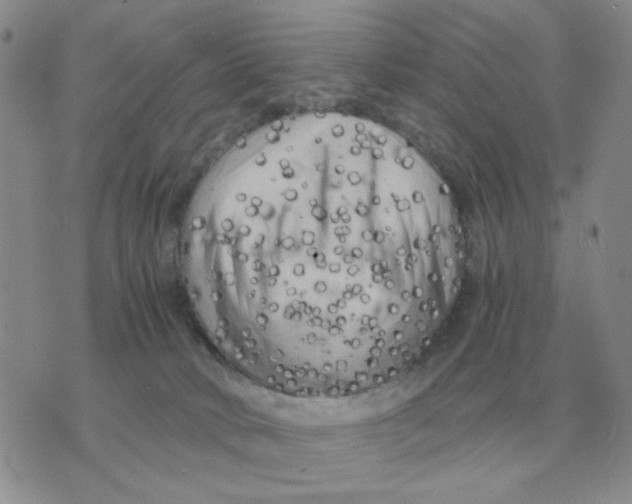 X0000071760034200607282159