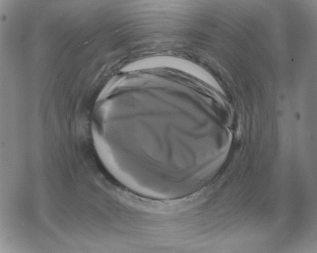 X0000071760035200607282159