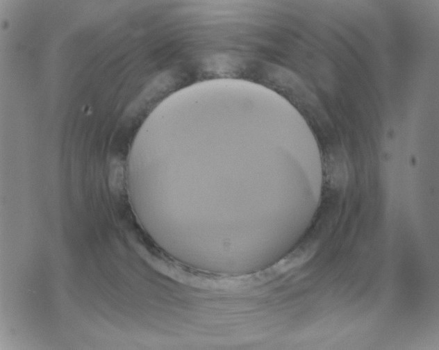 X0000071760036200607282159