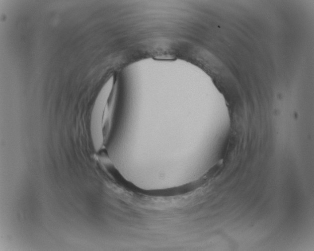 X0000071760037200607282159