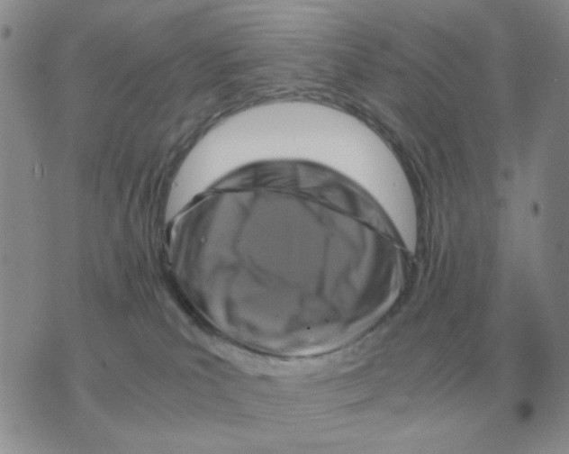 X0000071760039200607282159