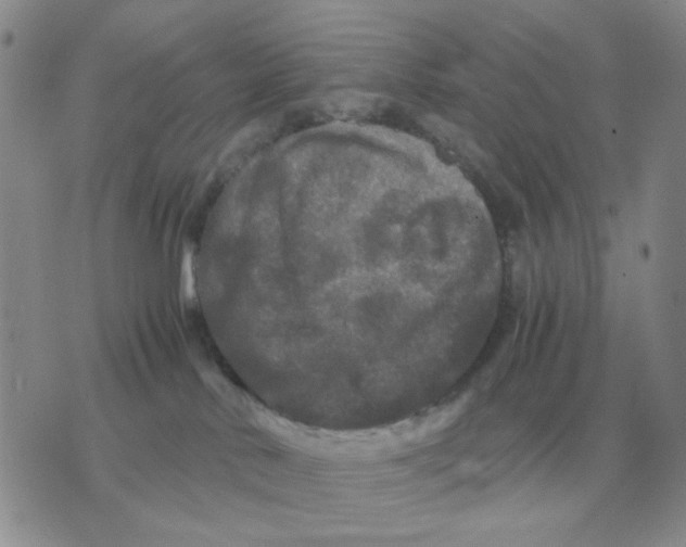 X0000071760042200607282158