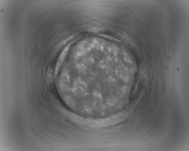 X0000071760043200607282158