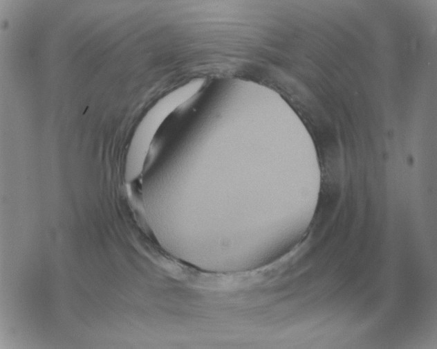 X0000071760045200607282158