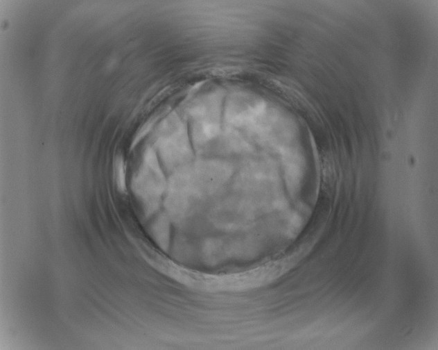 X0000071760046200607282158