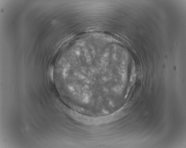 X0000071760047200607282158