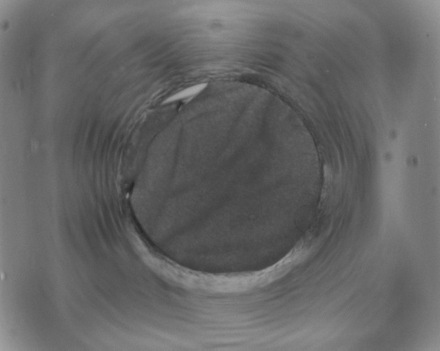 X0000071760048200607282158