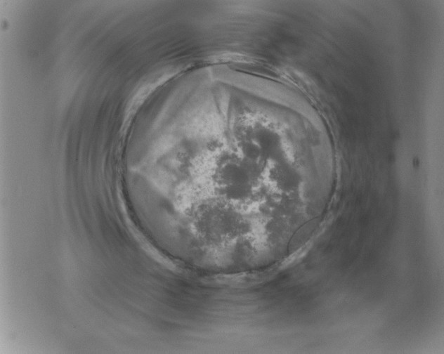 X0000071760049200607282158