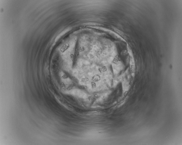 X0000071760050200607282158