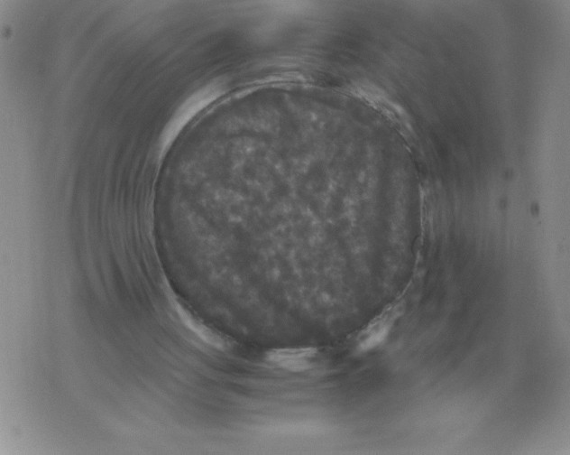 X0000071760051200607282158