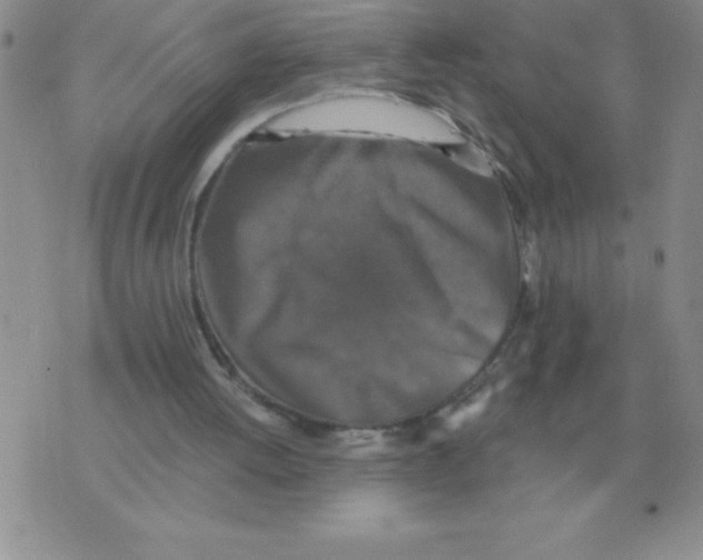 X0000071760052200607282158