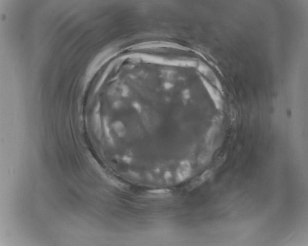 X0000071760053200607282158