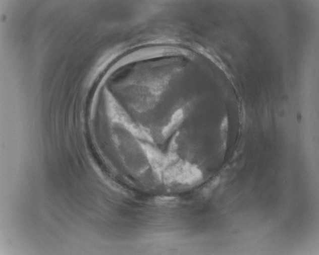 X0000071760055200607282158