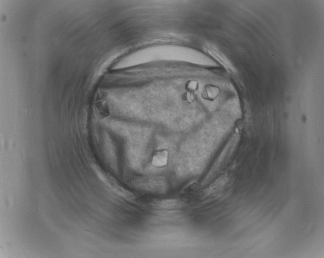 X0000071760058200607282158