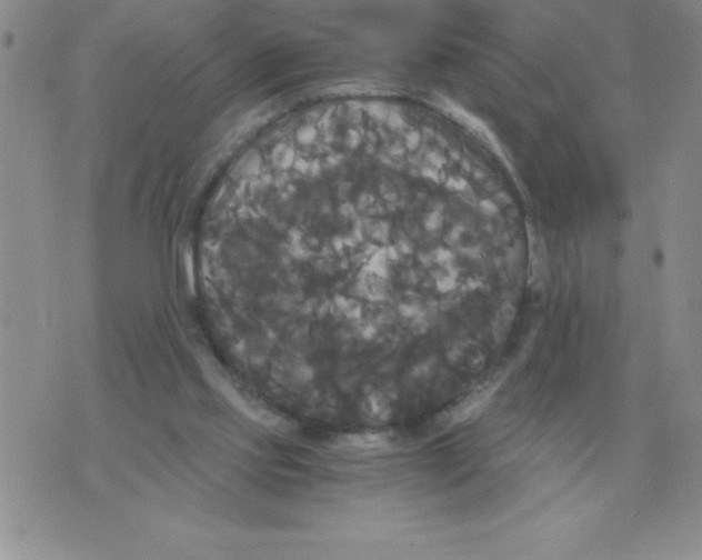 X0000071760061200607282158