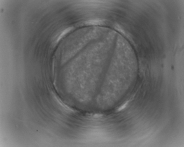 X0000071760062200607282158