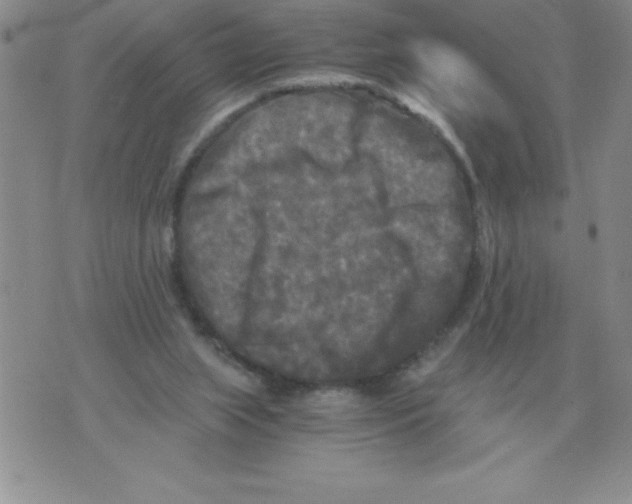 X0000071760063200607282158