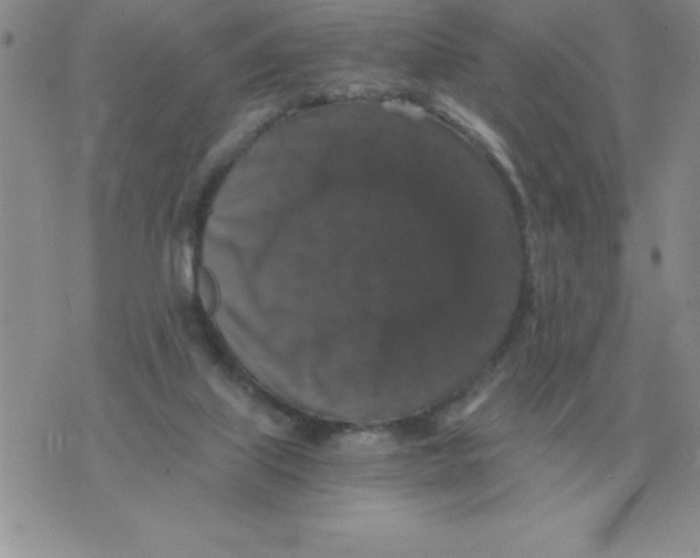 X0000071760067200607282158