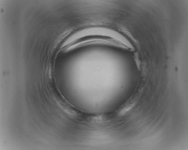 X0000071760068200607282158