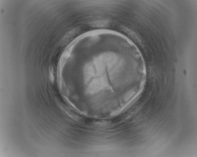 X0000071760069200607282158