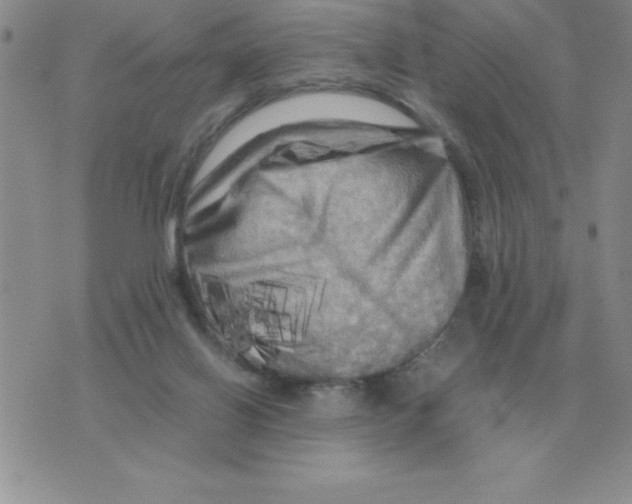 X0000071760070200607282158