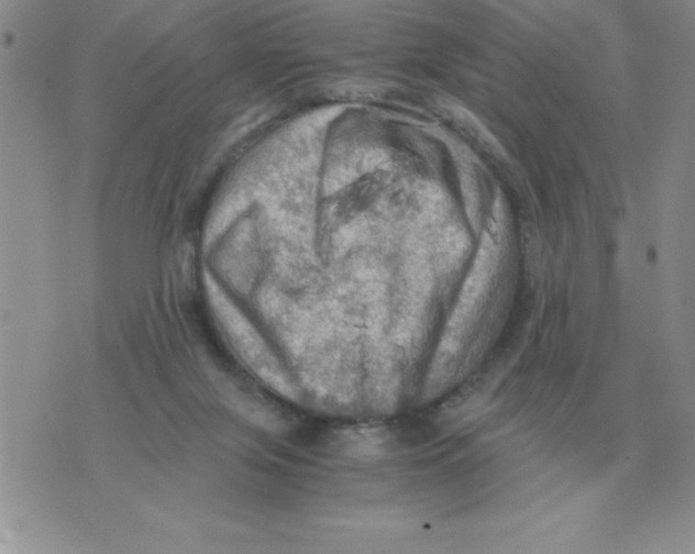 X0000071760071200607282158