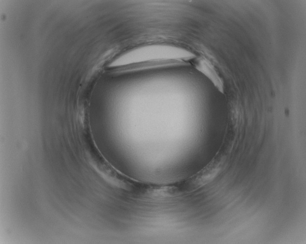 X0000071760072200607282158