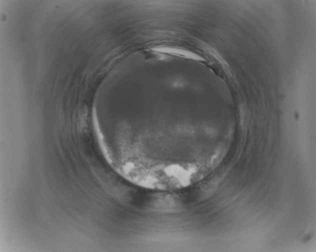 X0000071760073200607282158