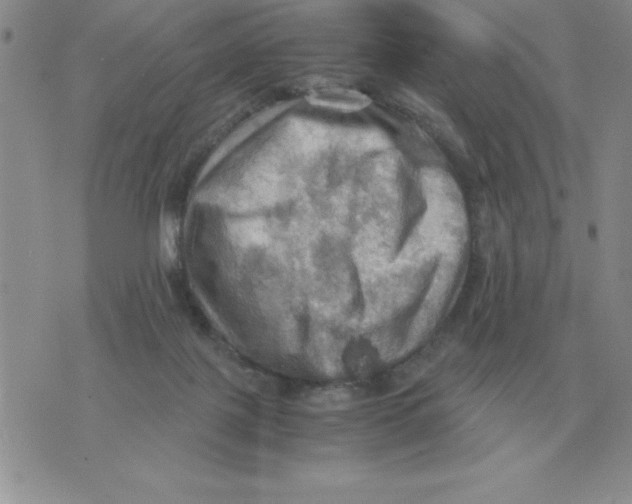 X0000071760075200607282158