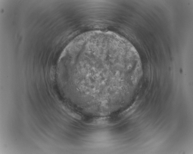 X0000071760078200607282158