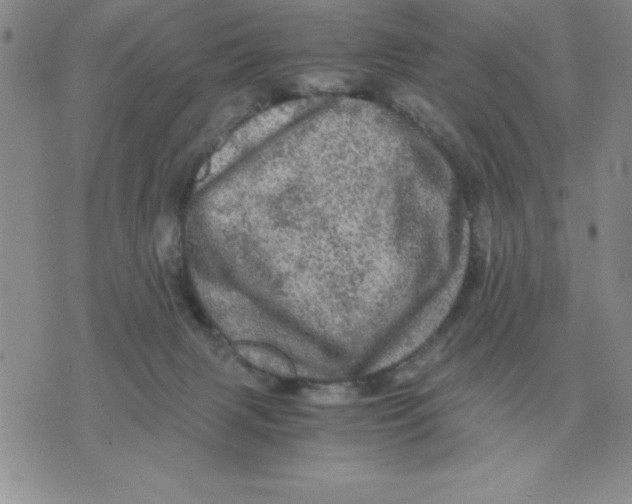 X0000071760079200607282158