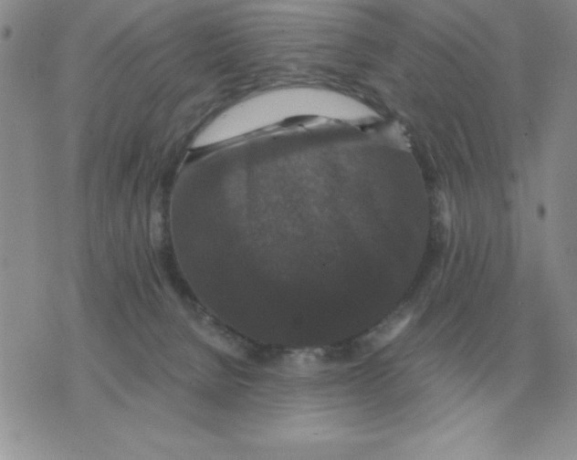 X0000071760080200607282158