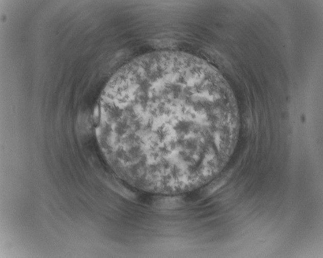 X0000071760081200607282158