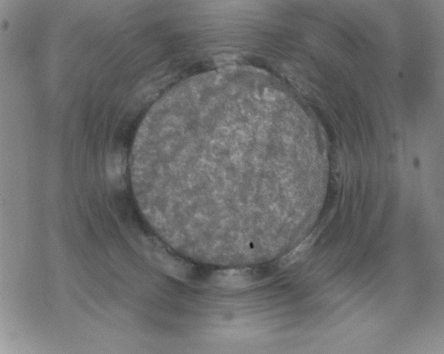 X0000071760082200607282158