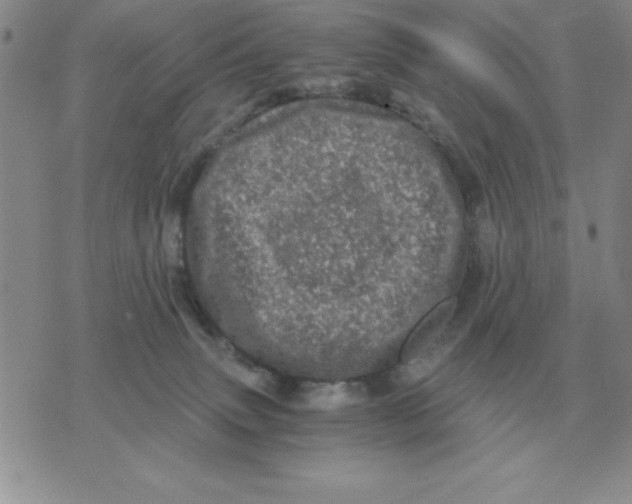 X0000071760083200607282158