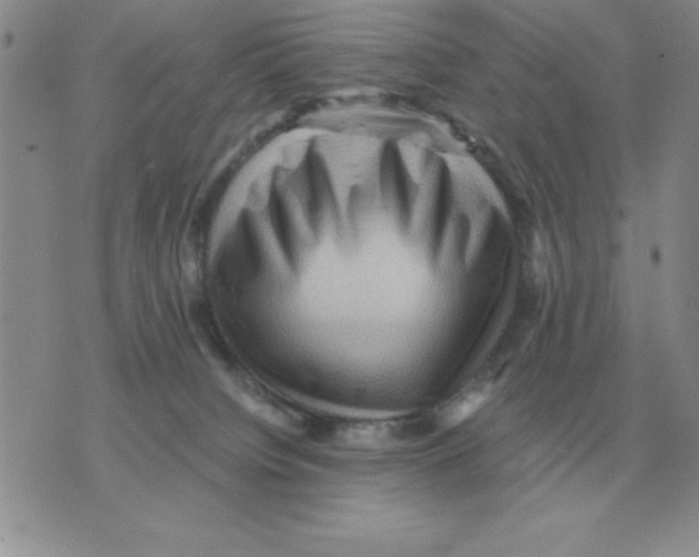 X0000071760084200607282158