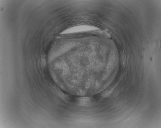 X0000071760085200607282158