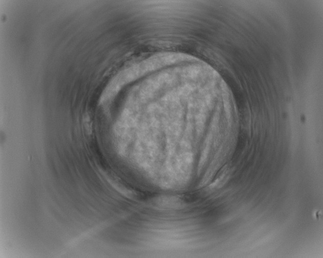 X0000071760086200607282158