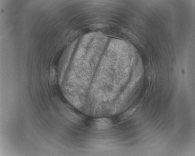 X0000071760087200607282158