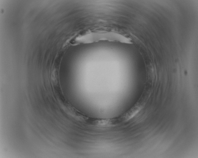 X0000071760088200607282158