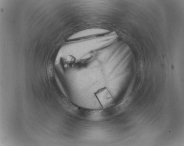 X0000071760090200607282158