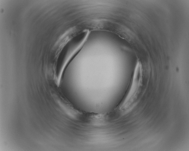 X0000071760092200607282158