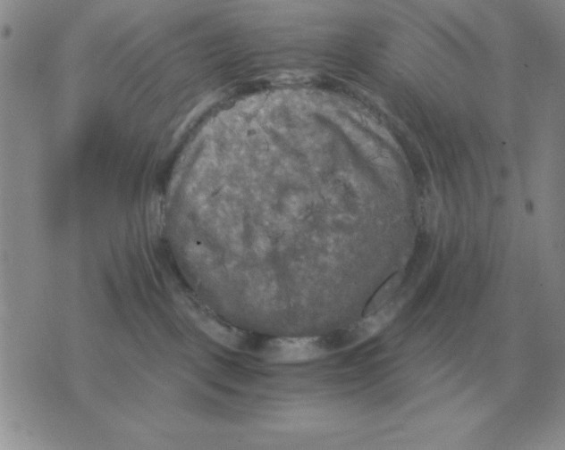 X0000071760093200607282158