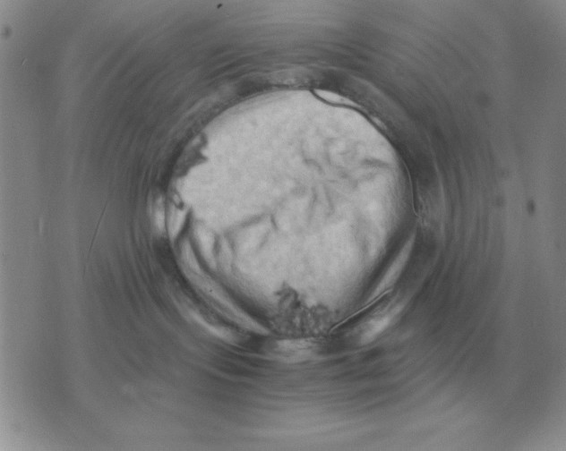 X0000071760095200607282158