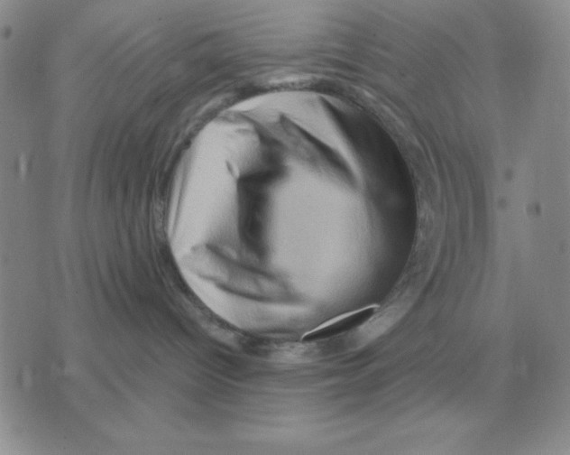 X0000071760096200607282158