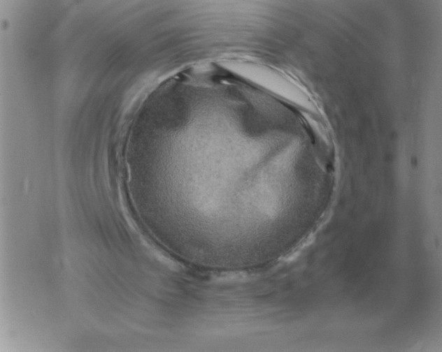 X0000071760097200607282158