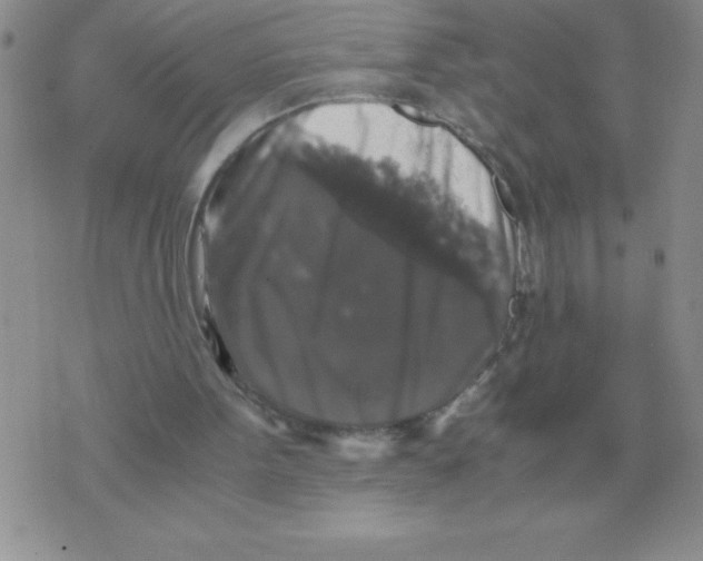 X0000071760099200607282158