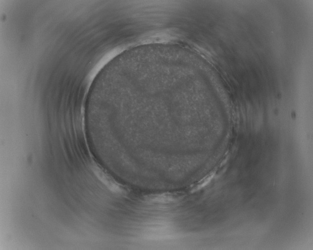 X0000071760100200607282158